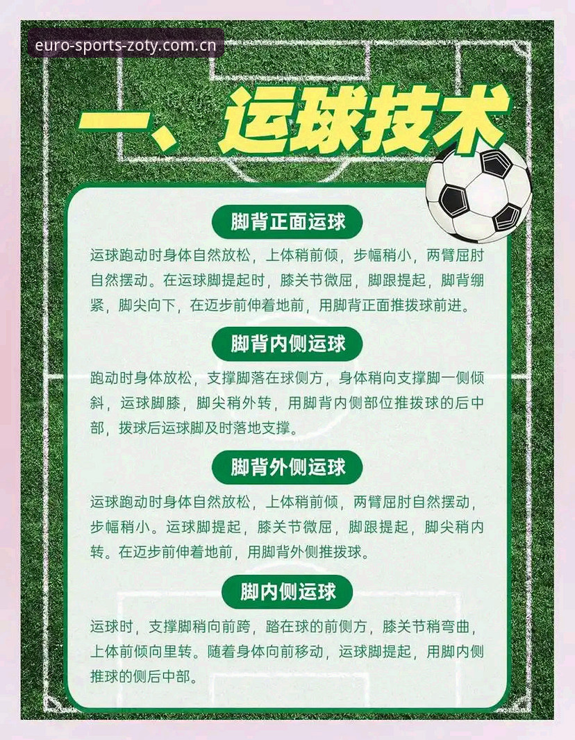 中欧体育最新版本功能详解与使用指南